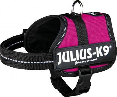 Julius k9 powerharnas / tuig voor labels fuchsia