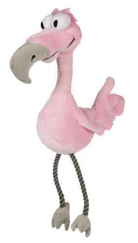 Happy pet bird brain flamingo