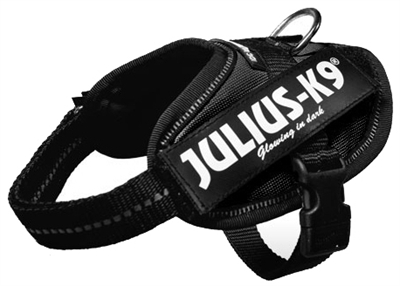 Julius K9 Power-Harnas/Tuig Nylon Zwart 37 x 2 cm