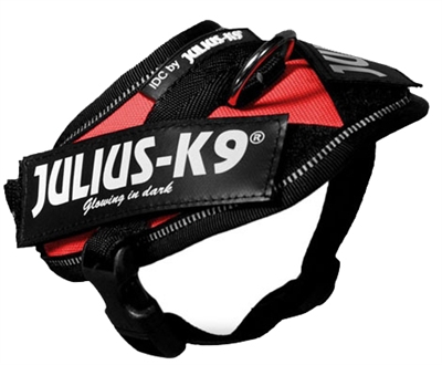 Julius K9 Power-Harnas/Tuig Nylon Rood 37 x 2 cm