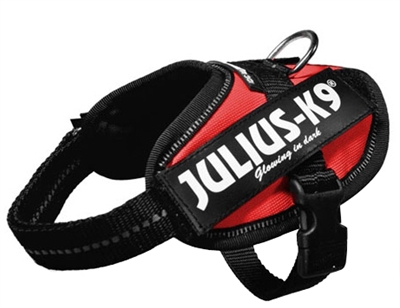 Julius K9 Power-Harnas/Tuig Nylon Rood 43 x 2 cm