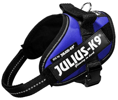 Julius K9 Power-Harnas/Tuig Nylon Blauw 53 x 2 cm