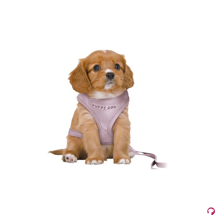 Trixie hondentuig junior puppy softtuig met riem lila