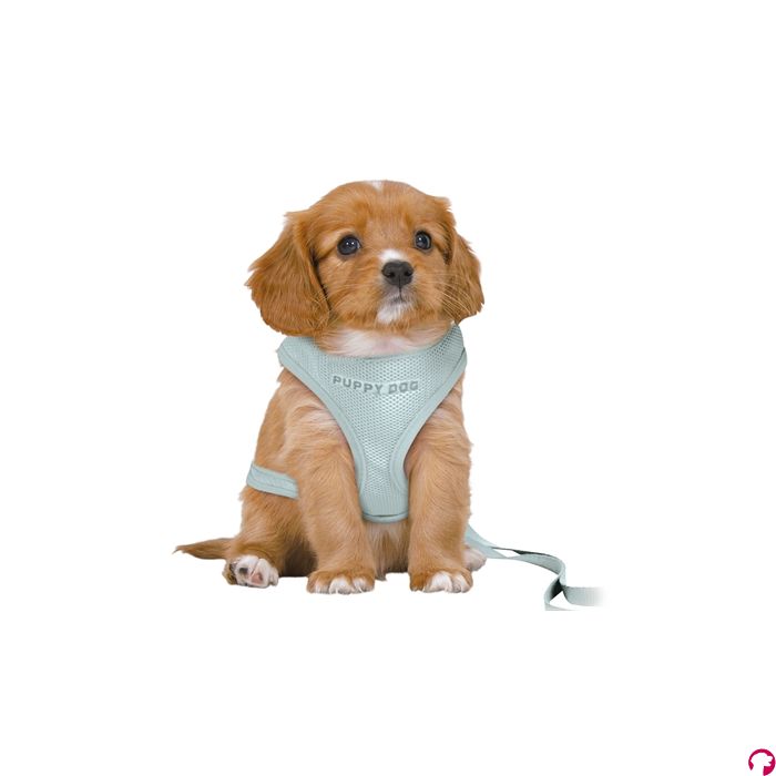 Trixie hondentuig junior puppy softtuig met riem mintgroen