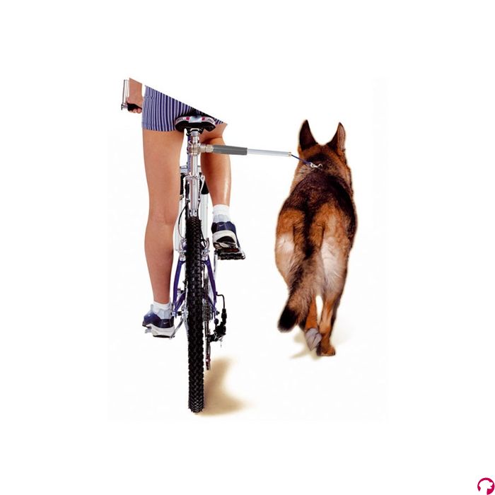 Camon walky dog fietsbeugel