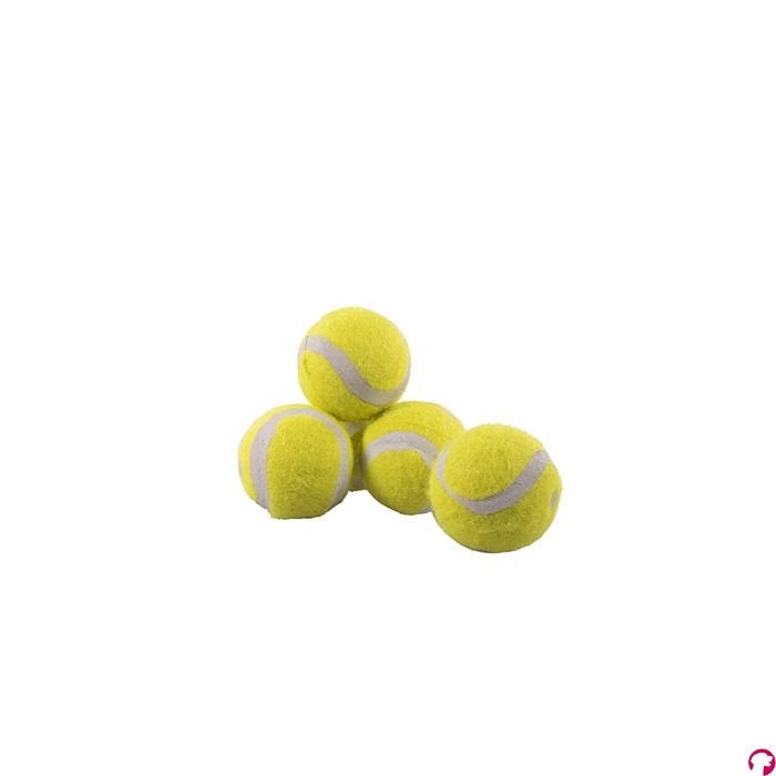 Rosewood jolly doggy tennisbal mini