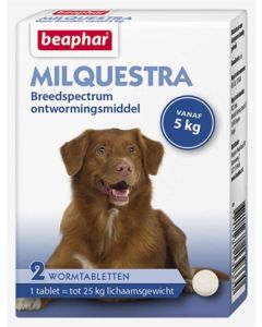Beaphar milquestra hond