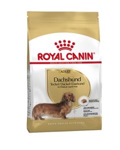 Royal canin dachshund/teckel adult