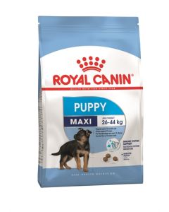 Royal canin maxi puppy