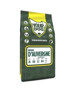 Yourdog braque d'auvergne volwassen