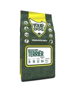 Yourdog braziliaanse terriËr senior