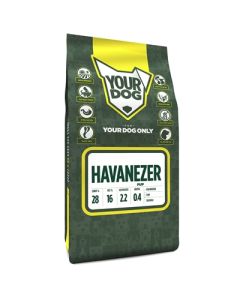 Yourdog havanezer pup