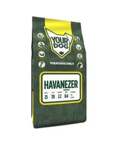 Yourdog havanezer senior