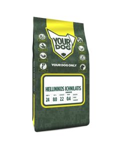 Yourdog hellinikos ichnilatis senior