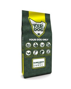 Yourdog hellinikos ichnilatis volwassen