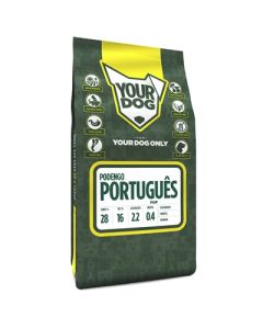 Yourdog podengo portuguÊs pup