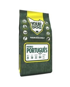 Yourdog podengo portuguÊs senior