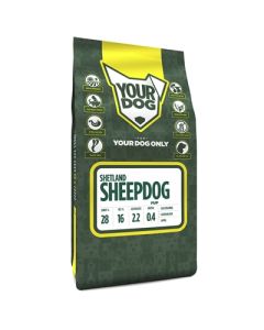 Yourdog shetland sheepdog pup