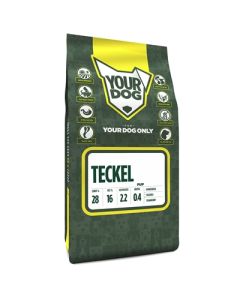 Yourdog teckel pup